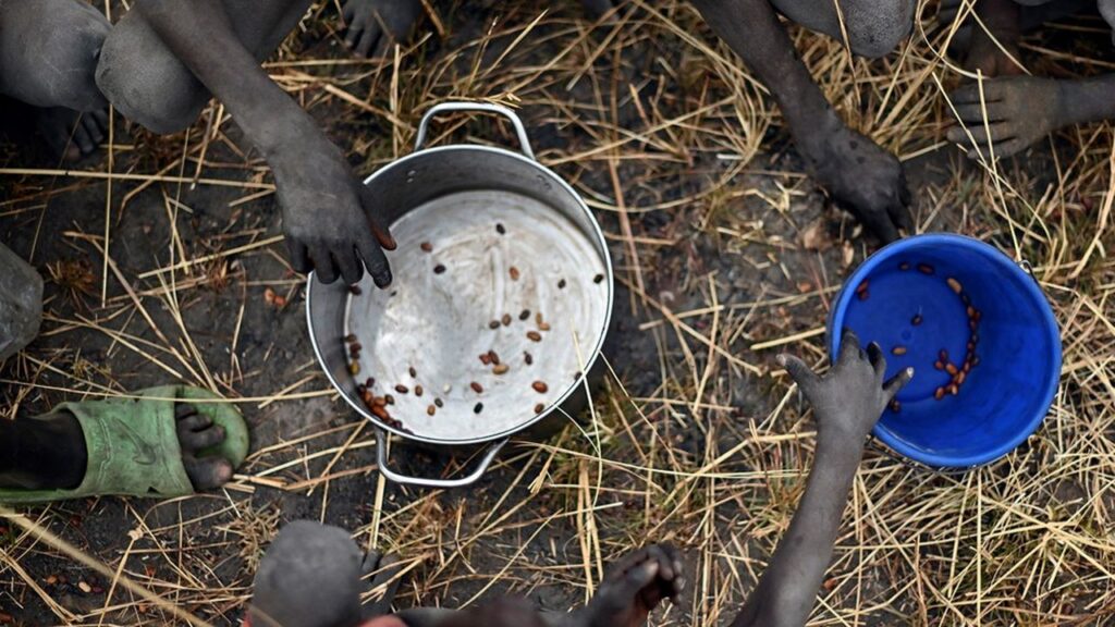 la crise alimentaire